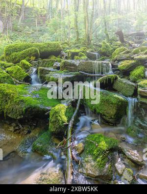 Landschaftsbild, Eifel in der Nähe von Bitburg, Rheinland-Pfalz, Deutschland Stockfoto