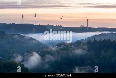 Panoramabild der Landschaft in der Eifel, Rheinland-Pfalz, Deutschland Stockfoto