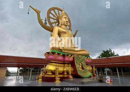 Buddha-Statue, großer Buddha-Tempel, Wat Phra Yai, auf Ko Phan, Koh Samui, Thailand *** Buddha-Statue, Wat Phra Yai, der große Buddha-Tempel, auf Ko Phan Stockfoto