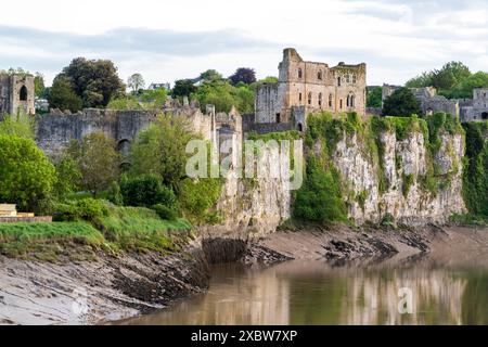 Chepstow Castle am Fluss Wye, Wales. Stockfoto