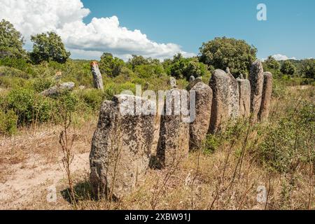 Menhirs of Palaggiu, eine große Gruppe prähistorischer stehender Steine im Süden der Insel Korsika Stockfoto