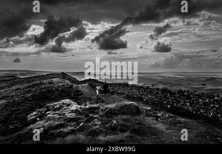 Hadrian's Wall Northumberland England Hadrian's Wall (lateinisch Vallum Hadriani, auch als römische Mauer, Picts' Wall oder Vallum Aelium) ist eine ehemalige Verteidigungsanlage der römischen Provinz Britannia, die 122 n. Chr. unter der Herrschaft des Kaisers Hadrian begann. Stockfoto