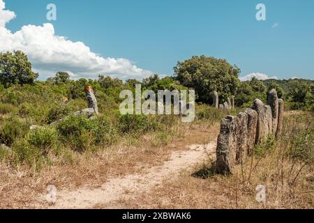 Menhirs of Palaggiu, eine große Gruppe prähistorischer stehender Steine im Süden der Insel Korsika Stockfoto
