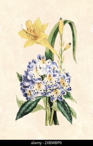 Rustikale Blume Illustration. Blumenkunst auf beigefarbenem Hintergrund. Kunst im Vintage-Stil. Stockfoto