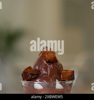 Nahaufnahme von Eiscreme mit Schokoladensirup und Brownie in einem Plastikbecher Stockfoto