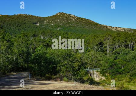 Wunderschöne Landschaft der Sierra Madrona, Umwelterziehung, Fuencaliente, Provinz Ciudad Real, Spanien Stockfoto