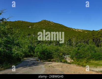 Wunderschöne Landschaft der Sierra Madrona, Umwelterziehung, Fuencaliente, Provinz Ciudad Real, Spanien Stockfoto