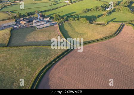 Luftaufnahme eines neu bepflanzten Maisfeldes auf einer Intensivmilchfarm in Carmarthenshire, Wales, Großbritannien Stockfoto