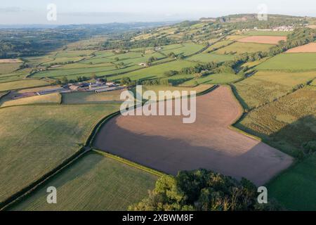 Luftaufnahme eines neu bepflanzten Maisfeldes auf einer Intensivmilchfarm in Carmarthenshire, Wales, Großbritannien Stockfoto