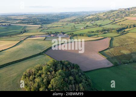 Luftaufnahme eines neu bepflanzten Maisfeldes auf einer Intensivmilchfarm in Carmarthenshire, Wales, Großbritannien Stockfoto