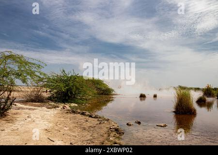 Alolabad Geothermalgebiet in Äthiopien mit surrealer Landschaft mit bunten heißen Quellen, dampfenden Fumarolen und ausbrechenden heißen Salzgeysiren in einer trockenen Umgebung Stockfoto