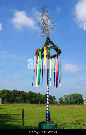 Ein originales Maipoll, das zur Feier des 1. Mai in Deutschland eingerichtet wurde. Dieser wurde in Grafshaft Bentheim in Niedersachsen gesehen Stockfoto