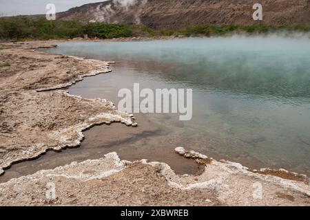 Alolabad Geothermalgebiet in Äthiopien mit surrealer Landschaft mit bunten heißen Quellen, dampfenden Fumarolen und ausbrechenden heißen Salzgeysiren in einer trockenen Umgebung Stockfoto