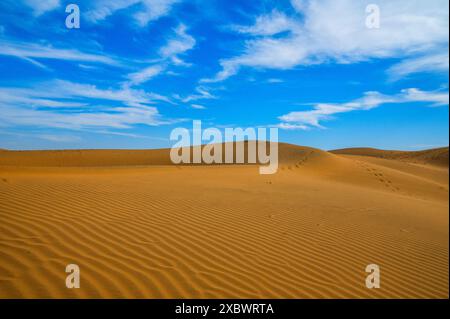 Die goldenen Dünen von Jaisalmer Rajasthan tummeln sich unter einem lebendigen und dramatischen blauen Himmel und schaffen eine ruhige Wüstenlandschaft. Stockfoto