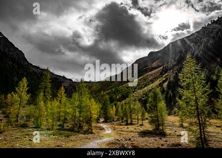 südtirol, reschensee, italien, alpen, Landschaft, Natur, Herbst, Alpenblick, Ressia, reschenpass Stockfoto