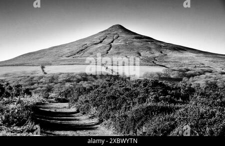 Sugar Loaf, Mynydd Pen-y-fal, liegt am südlichen Rand der Black Mountains im Bannau Brycheiniog, dem Brecon Beacons National Park Stockfoto