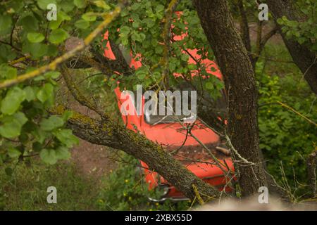 Ein verlassener roter alter Wagen steht auf einem verlassenen, von Büschen bewachsenen Gebiet Stockfoto