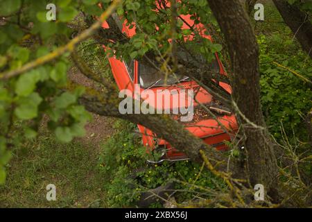 Ein verlassener roter alter Wagen steht auf einem verlassenen, von Büschen bewachsenen Gebiet Stockfoto