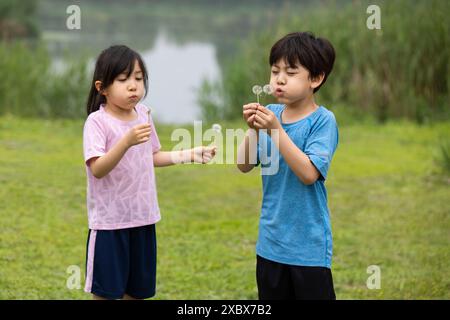 Kinder Spielen Mit Löwenzahn Stockfoto