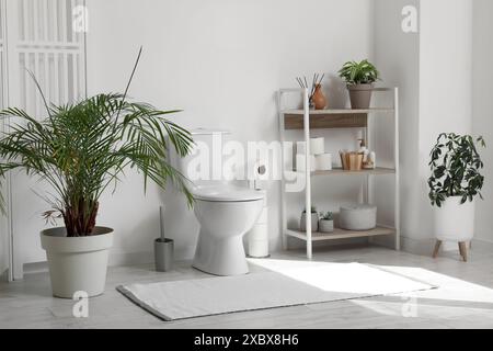 Innenseite des Toiletten mit Toilettenschüssel, Regalfach, Pflanze und Klappschirm in der Nähe der weißen Wand Stockfoto