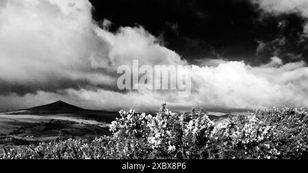 Sugar Loaf, Mynydd Pen-y-fal, liegt am südlichen Rand der Black Mountains im Bannau Brycheiniog, dem Brecon Beacons National Park Stockfoto