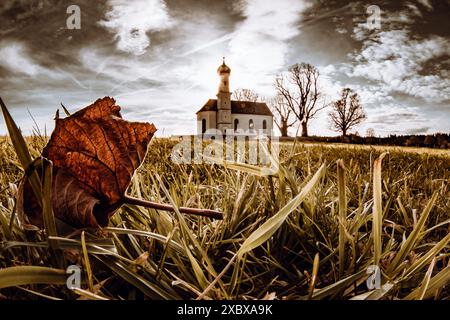 Kirche, Wiese, Herbst, Allerheiligen Tag, Blatt, Laub, Tapeten, Hintergrundbilder, Sonne, Wintersonne Stockfoto