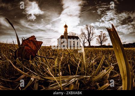 Kirche, Wiese, Herbst, Allerheiligen Tag, Blatt, Laub, Tapeten, Hintergrundbilder, Sonne, Wintersonne Stockfoto