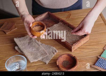 Frau pflanzt Samen in Holzkiste, baut Mikrogrün zu Hause an Stockfoto