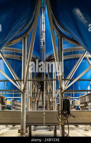 Verarbeitungsausrüstung für frisches Gemüse nach der Ernte, Lagerung, Sortierung, Waschen, Schneiden, Verpackung, Landwirtschaft in den Niederlanden Stockfoto