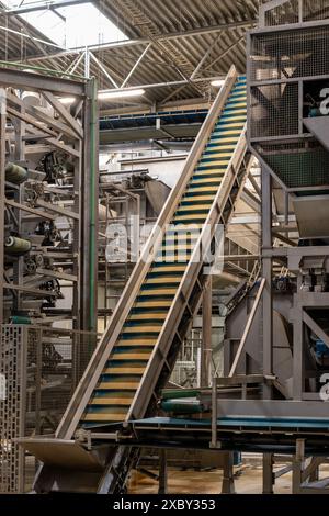 Verarbeitungsausrüstung für frisches Gemüse nach der Ernte, Lagerung, Sortierung, Waschen, Schneiden, Verpackung, Landwirtschaft in den Niederlanden Stockfoto