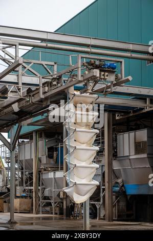 Verarbeitungsausrüstung für frisches Gemüse nach der Ernte, Lagerung, Sortierung, Waschen, Schneiden, Verpackung, Landwirtschaft in den Niederlanden Stockfoto
