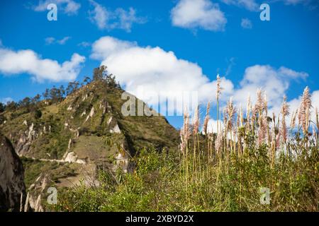 Landschaften, Viehzucht und Berglandschaften entlang der Quilotoa Loop, eine mehrtägige Wanderung in den Anden von Ecuador Stockfoto