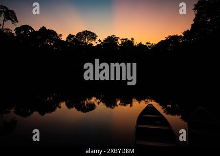 Eine Szene einer Lagune bei Sonnenuntergang im Yasuni-Nationalpark in Ecuadors Amazonas-Regenwald Stockfoto