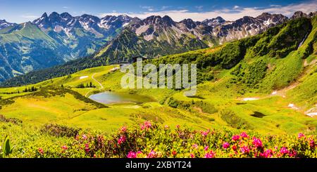 Alpenrosenblüte, Panorama vom Fellhorn über den Schlappoldsee und Bergstation der Fellhornbahn bis zum zentralen Hauptkamm der Fellhornbahn Stockfoto