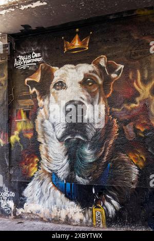 Portraithund Lukanikos, Straßenhund aus der Zeit der griechischen Staatsschuldenkrise, Wandgemälde von Billy Gee & N Grams & Alex Martinez, Psirri Stockfoto