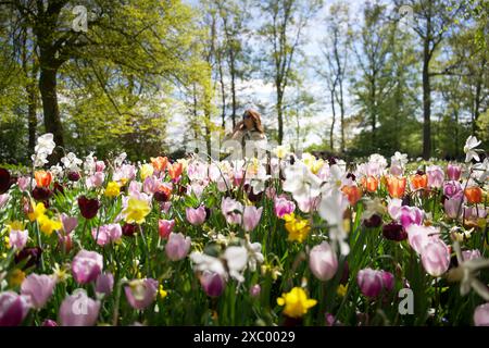 Keukenhof Park und ein Mädchen in der Nähe von Tulpen Stockfoto