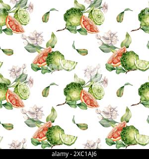 Jasminzweig und reife Früchte Aquarellmuster isoliert auf weiß. Bergamotte und Grapefruitzeichnung. Sommermotiv mit Blumenmuster und Zitrusstreifen Stockfoto