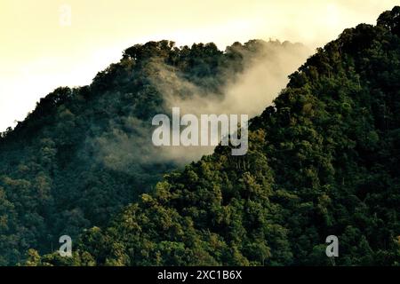 Regenwald an den Hängen des Mount Duasudara (Dua Saudara) in Nord-Sulawesi, Indonesien. Stockfoto