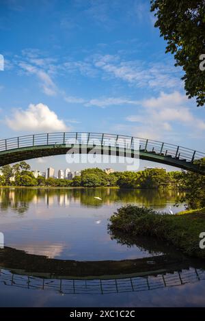 Ruhiger See und Brücke im Ibirapuera Park - São Paulo, Brasilien Stockfoto