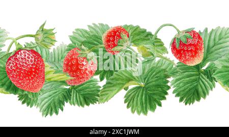 Nahtloser Rand aus roter Erdbeere. In die Hälfte schneiden und ganze Beeren. Handgezeichnetes Aquarell-Ornament. Köstliche Esskunst, frische botanische, realistische Malerei Stockfoto
