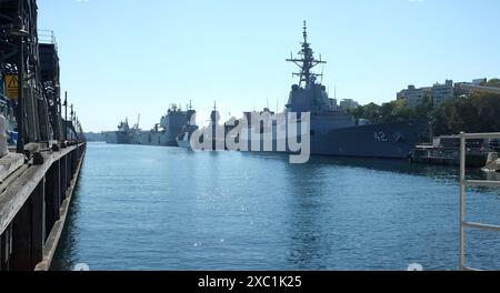 Woolloomooloo, Sydney, Panorama of the Finger Wharf und HMAS Sydney und andere Marineschiffe, die an der Cowper Wharf, HMAS Kuttabul in der Elizabeth Bay ankern Stockfoto