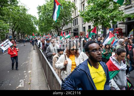 Demonstranten auf Kingsway, propalästinensische Proteste in Zentral-London am 08.06.2024, London, England, Vereinigtes Königreich Stockfoto