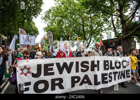 Jüdischer Block für Palästina-Banner, propalästinensische Proteste in Zentral-London am 08.06.2024, London, England, Vereinigtes Königreich Stockfoto