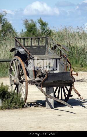 Ein alter Bauernwagen, der in der Camargue in Südfrankreich benutzt wurde Stockfoto