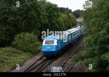 Intercity 125 HST Dieselzug in Midland Pullman Lackierung, Hatton Bank, Warwickshire, Großbritannien Stockfoto