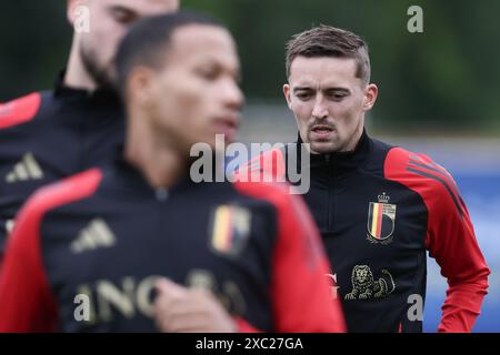 Freiberg, Deutschland. Juni 2024. Der belgische Timothy Castagne wurde während eines Trainings der belgischen Fußballnationalmannschaft Red Devils am Freitag, den 14. Juni 2024, in ihrem Basislager in Freiberg am Neckar in Vorbereitung auf die Fußball-Europameisterschaft 2024 gezeigt. Die Red Devils spielen in der Gruppe F bei der Europameisterschaft 2024 in Deutschland. BELGA FOTO BRUNO FAHY Credit: Belga News Agency/Alamy Live News Stockfoto