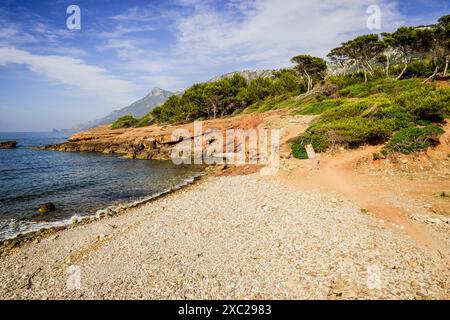 Son Bunyola Beach, Banyalbufar. Naturpark Sierra de Tramuntana. Mallorca. Balearen. Spanien. Stockfoto