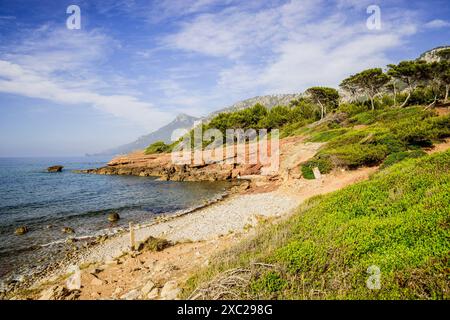 Son Bunyola Beach, Banyalbufar. Naturpark Sierra de Tramuntana. Mallorca. Balearen. Spanien. Stockfoto