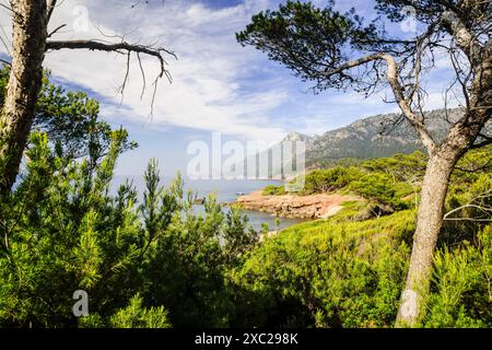 Son Bunyola Beach, Banyalbufar. Naturpark Sierra de Tramuntana. Mallorca. Balearen. Spanien. Stockfoto