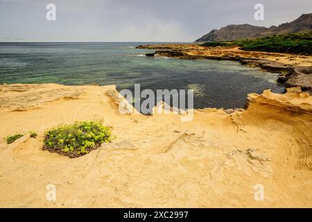 Beach Canons. Kolonie Sant Pere. Artà. Mallorca. Balearen. Spanien. Stockfoto